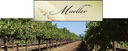 Muller Winery